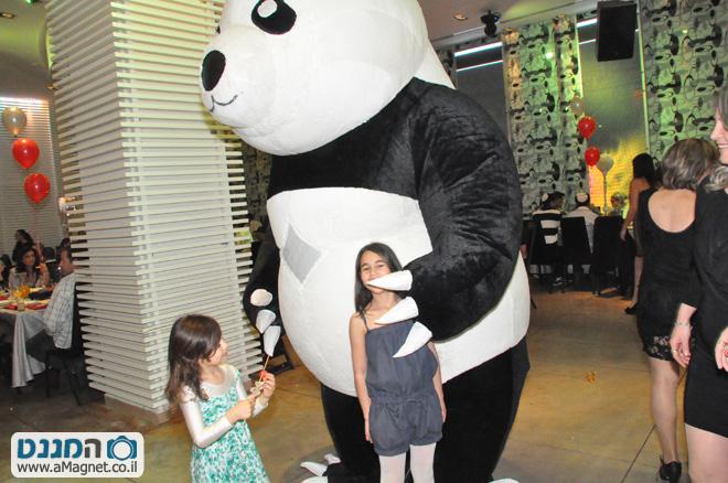 תמונה גדולה